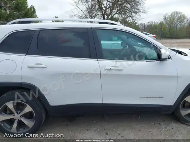 2019 Jeep Cherokee 1C4PJLDB1KD387310 — Iaai auction photo 13