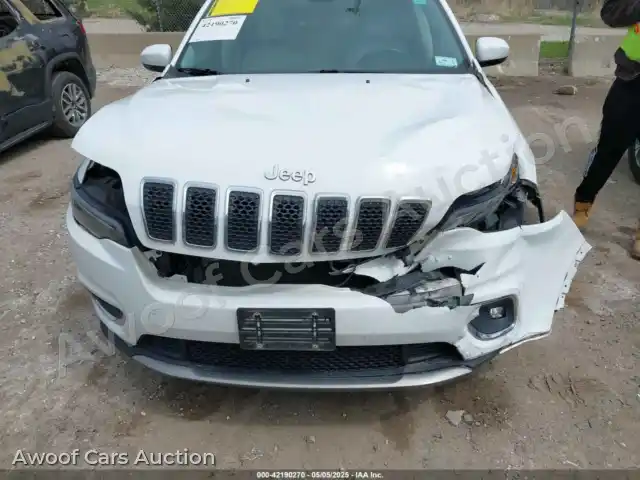 2019 Jeep Cherokee 1C4PJLDB1KD387310 — Iaai auction photo 12