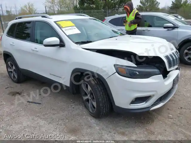 2019 Jeep Cherokee 1C4PJLDB1KD387310 — Iaai auction photo 1