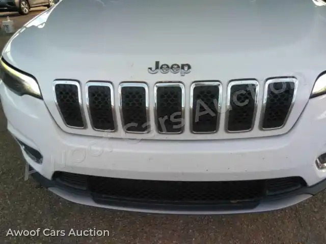 2019 Jeep Cherokee 1C4PJLDB1KD387310 — Manheim auction photo 18