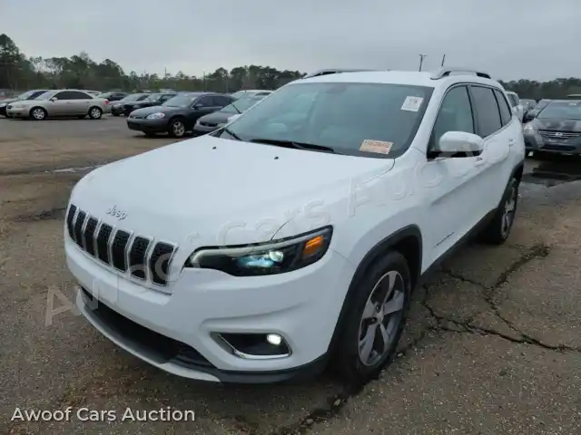 2019 Jeep Cherokee 1C4PJLDB1KD387310 — Manheim auction photo 1