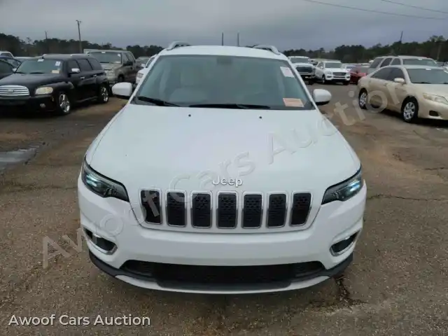 2019 Jeep Cherokee 1C4PJLDB1KD387310 — Manheim auction photo 2