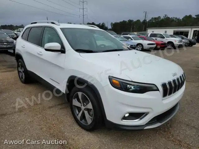 2019 Jeep Cherokee 1C4PJLDB1KD387310 — Manheim auction photo 3