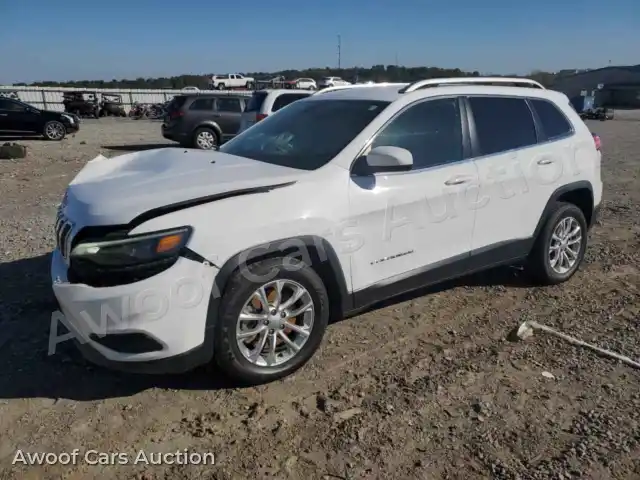 2019 Jeep Grand Cherokee 1C4PJLCB4KD247513 — Copart auction photo 1