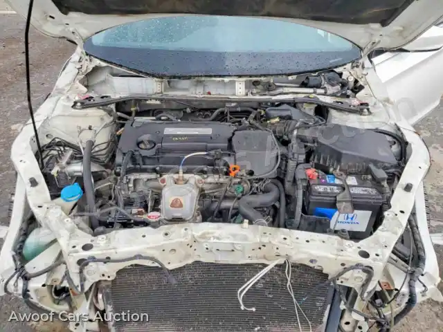 2014 Honda Accord 1HGCR2F56EA245552 — Copart auction photo 11