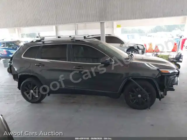 2016 Jeep Cherokee 1C4PJLDB7GW143933 — Iaai auction photo 14