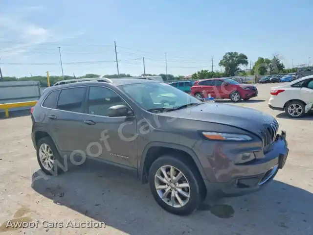 2014 Jeep Cherokee 1C4PJMDB4EW203878 — Copart auction photo 4