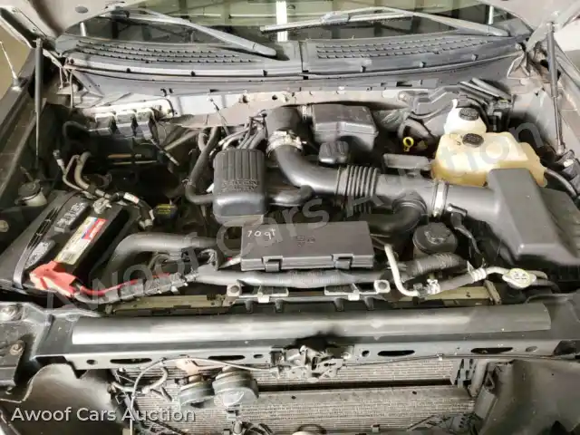 2010 Ford F-150 1FTFW1EV0AFC86370 — Copart auction photo 11