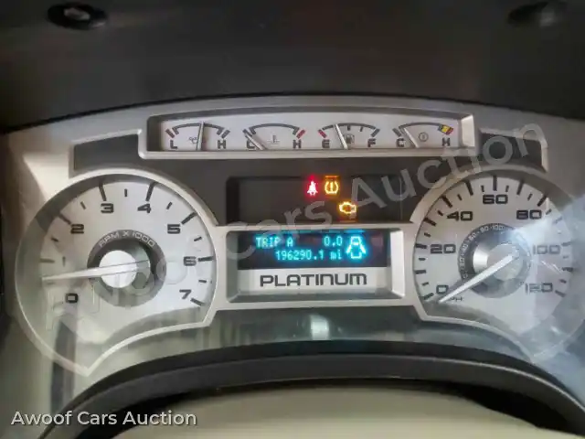 2010 Ford F-150 1FTFW1EV0AFC86370 — Copart auction photo 9