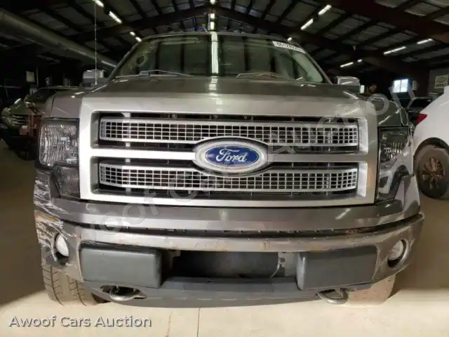 2010 Ford F-150 1FTFW1EV0AFC86370 — Copart auction photo 5