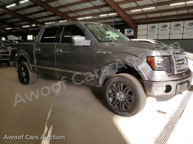 2010 Ford F-150 1FTFW1EV0AFC86370 — Copart auction photo 4