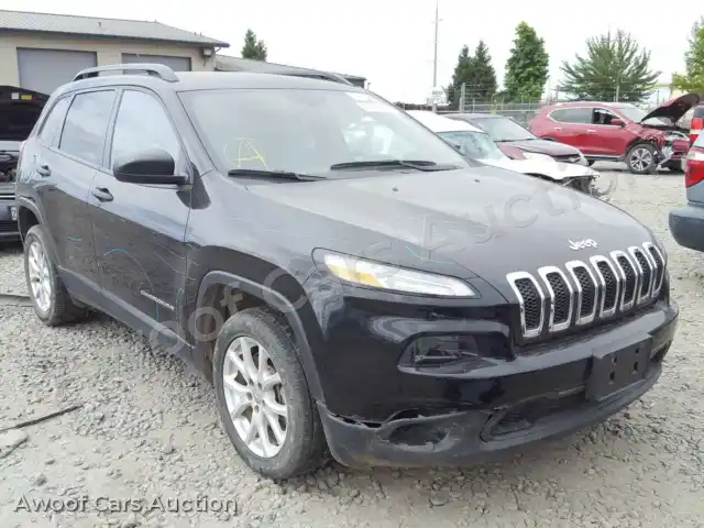 2017 Jeep Cherokee 1C4PJLAB9HW548679 — Copart auction photo 1