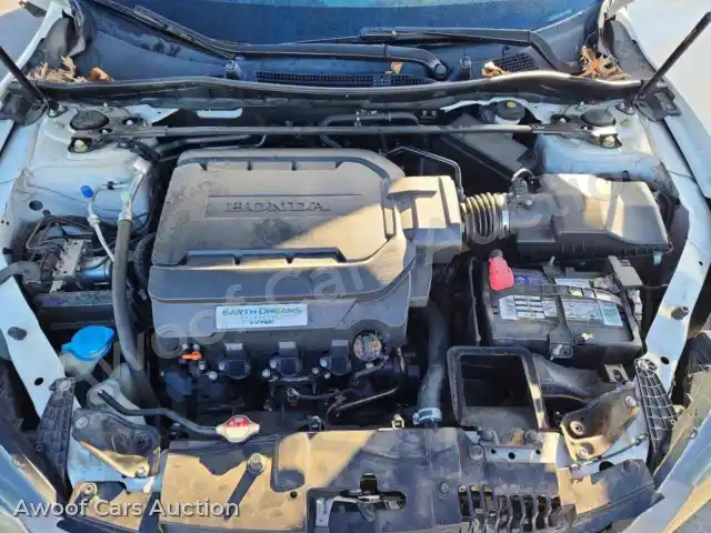 2014 Honda Accord 1HGCR3F80EA038896 — Copart auction photo 11