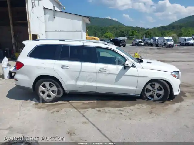 2017 Mercedes-Benz GLS 450 4JGDF6EEXHA927399 — hoton gwanjo Iaai na 13
