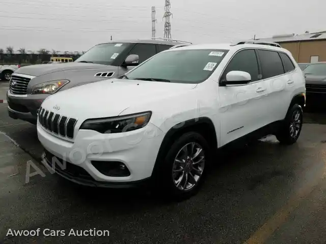 2019 Jeep Cherokee 1C4PJLLB8KD204115 — Manheim auction photo 1