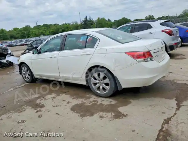 2010 Honda Accord 1HGCP2F85AA033090 — Copart auction photo 2