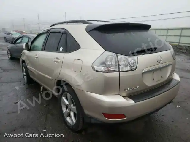 2004 Lexus RX330 JTJHA31U140047351 — Copart auction photo 2