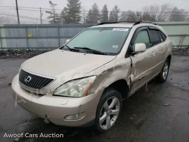2004 Lexus RX330 JTJHA31U140047351 — Copart auction photo 1