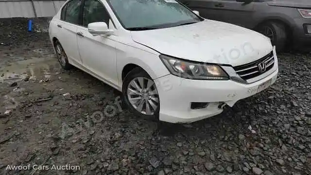 2014 Honda Accord 1HGCR2F77EA018243 — Copart auction photo 13