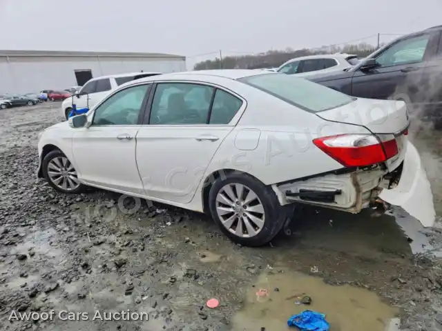 2014 Honda Accord 1HGCR2F77EA018243 — Copart auction photo 2