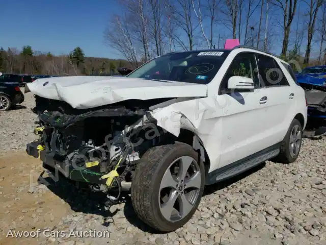 2017 Mercedes-Benz G Class 4JGDA5HB2HA977255 — Copart auction photo 2