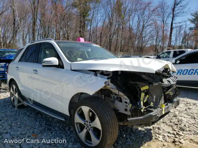 2017 Mercedes-Benz G Class 4JGDA5HB2HA977255 — Copart auction photo 1