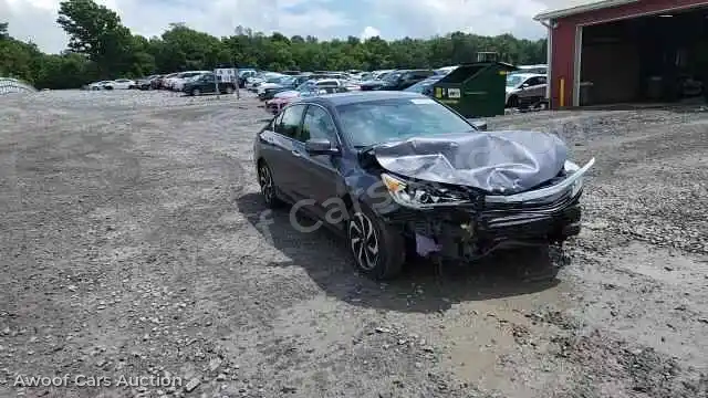 2016 Honda Accord 1HGCR2F89GA124639 — photo 14 de la vente Copart