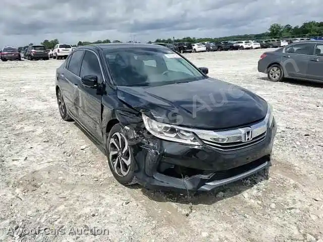 2016 Honda Accord 1HGCR2F83GA085465 — Copart auction photo 13