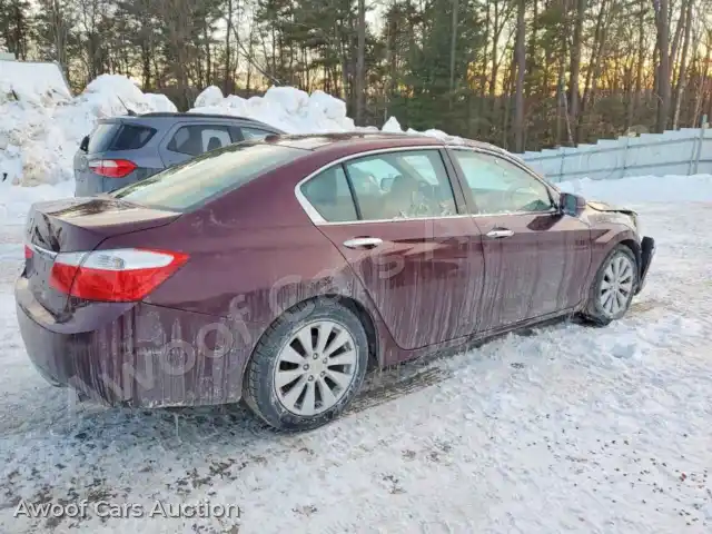 2014 Honda Accord 1HGCR2F88EA199314 — hoton gwanjo Copart na 3