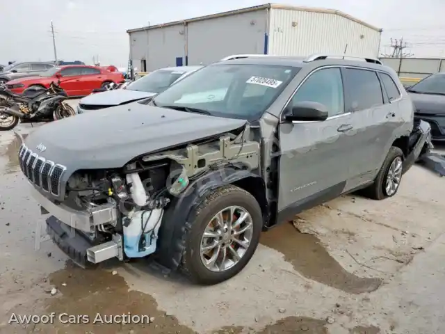 2020 Jeep Grand Cherokee 1C4PJLLB5LD556151 — Copart auction photo 1