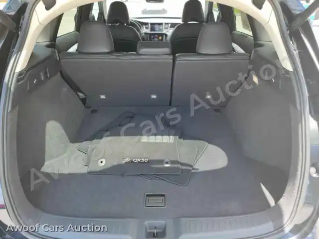 2020 Infiniti QX50 3PCAJ5M17LF102743 — Manheim auction photo 17
