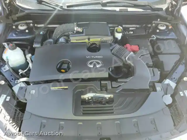2020 Infiniti QX50 3PCAJ5M17LF102743 — Manheim auction photo 16