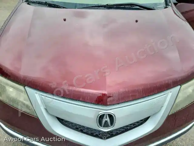 2010 Acura MDX 2HNYD2H44AH507274 — Copart auction photo 12