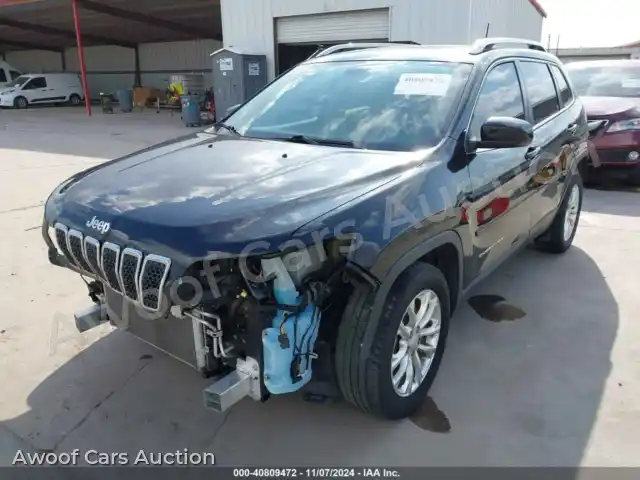 2019 Jeep Cherokee 1C4PJLCB7KD357391 — Iaai auction photo 2