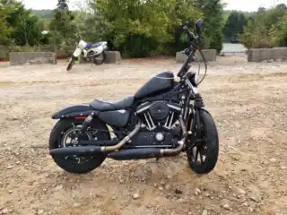 2020 Harley-Davidson XL883 N
