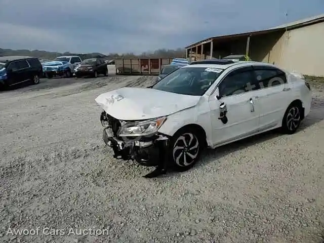 2016 Honda Accord 1HGCR2F82GA161435 — Copart auction photo 14