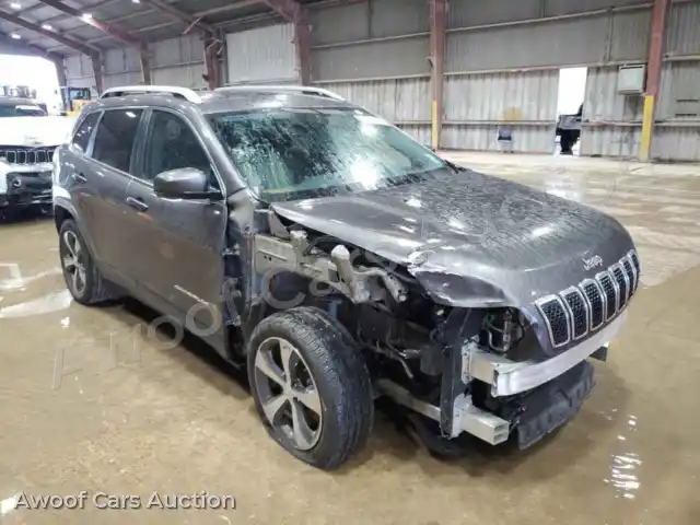 2019 Jeep Grand Cherokee 1C4PJLDB4KD194150 — Copart auction photo 4