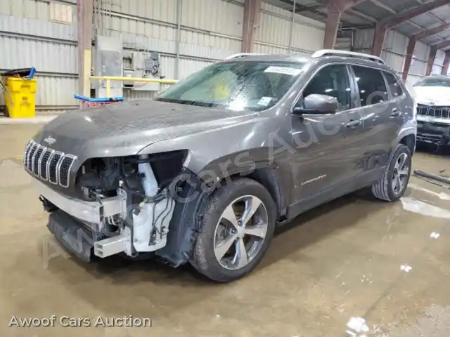 2019 Jeep Grand Cherokee 1C4PJLDB4KD194150 — Copart auction photo 1