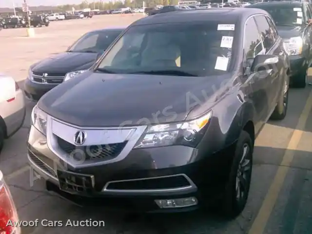 2011 Acura MDX 2HNYD2H58BH501794 — Manheim auction photo 1