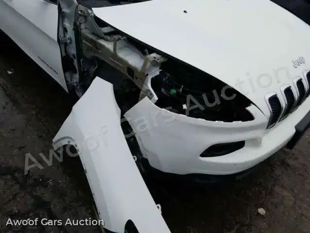 2016 Jeep Cherokee 1C4PJMCB7GW123446 — Copart auction photo 9