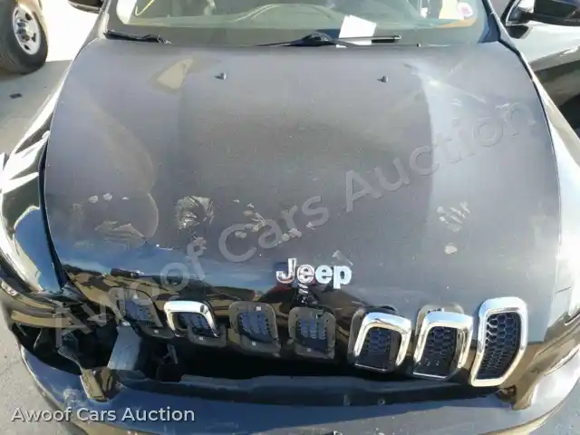2016 Jeep Cherokee 1C4PJLDBXGW229107 — Copart auction photo 7
