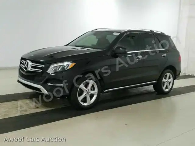 2018 Mercedes-Benz GLE-Class 4JGDA5HB8JB057226 — Manheim auction photo 1