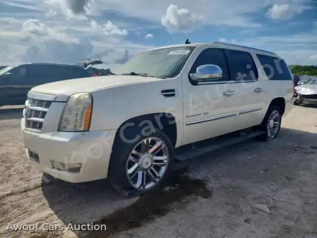 2010 Cadillac Escalade 1GYUCKEFXAR146463 — Copart auction photo 1