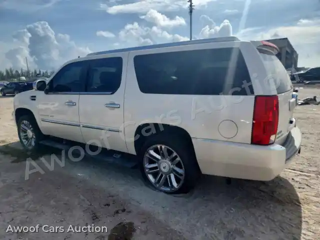 2010 Cadillac Escalade 1GYUCKEFXAR146463 — Copart auction photo 2