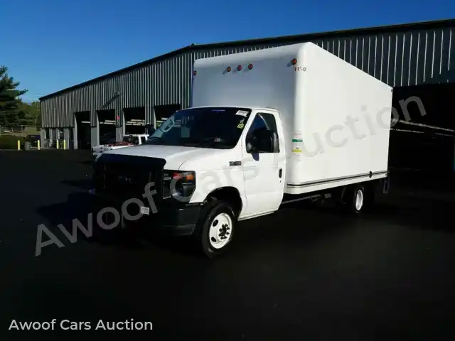 2017 Ford Econoline 1FDWE3FS1HDC32208 — photo 1 de la vente Manheim