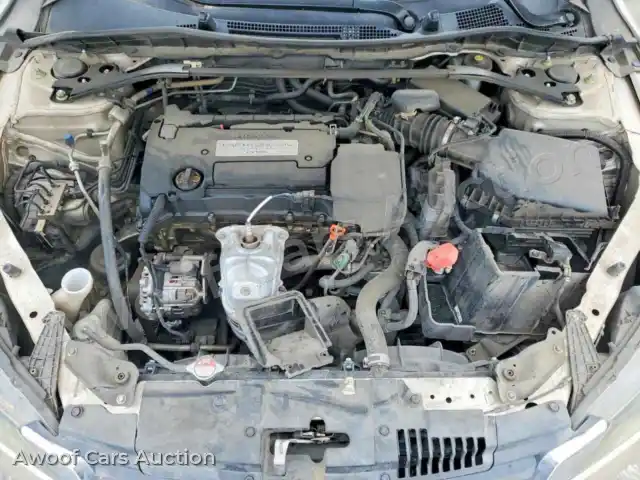 2014 Honda Accord 1HGCR2F8XEA013305 — photo 11 de la vente Copart