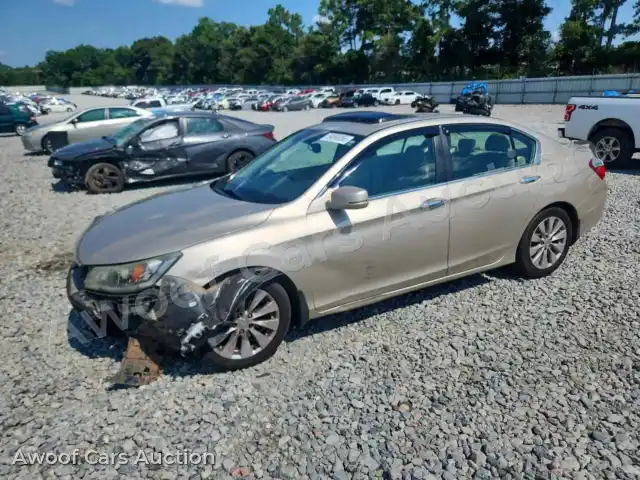 2014 Honda Accord 1HGCR2F81EA148298 — Copart auction photo 1