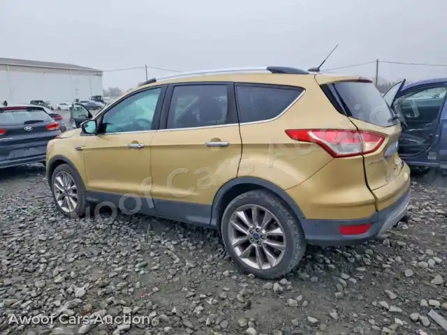 2014 Ford Escape 1FMCU9G95EUC41588 — Copart auction photo 2