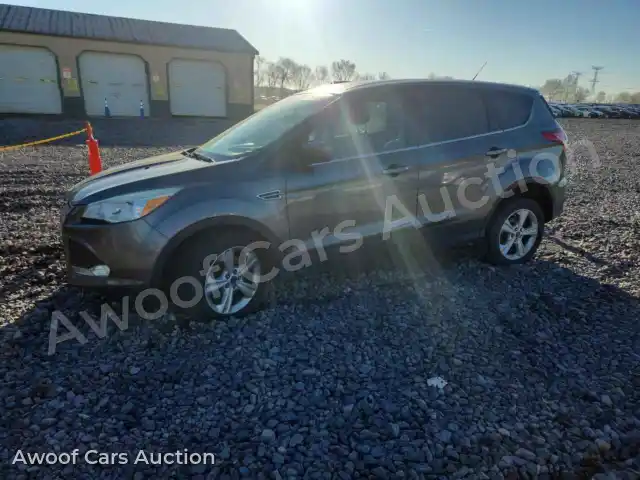 2014 Ford Escape 1FMCU0G95EUC52943 — Copart auction photo 1