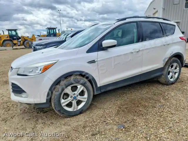 2013 Ford Escape 1FMCU9G9XDUB66935 — Copart auction photo 1